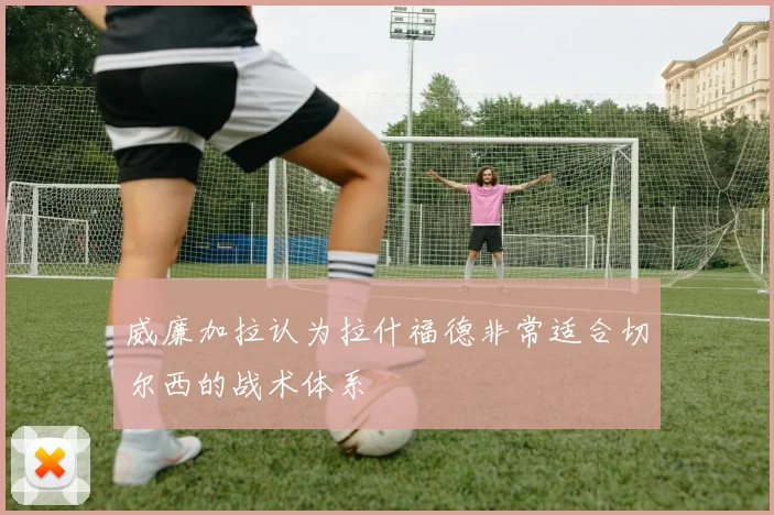 威廉加拉认为拉什福德非常适合切尔西的战术体系